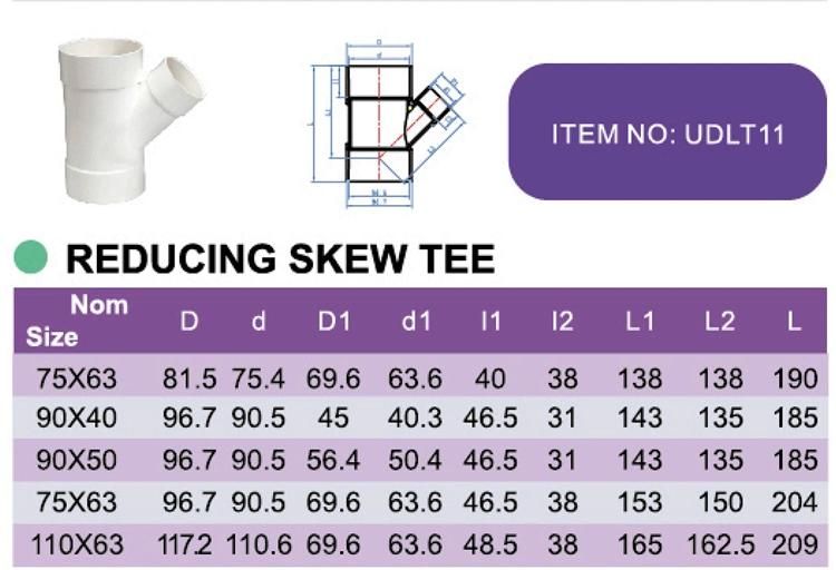 Era UPVC Fittings Plastic Fittings ISO3633 Drainage Fittings for Reducing Skew Tee