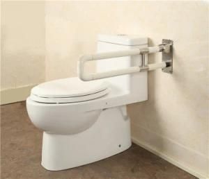 Wall Mounted Hallway Corridor Grab Bar for Disabled