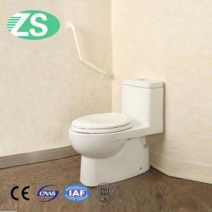 Bathroom Accessibility White ABS Grab Bar Manufacturer