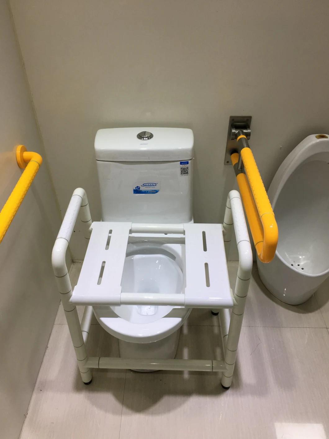 Bathroom Handrails for Elderly with Grab Bar