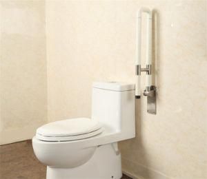 Wall Mounted Folding up Grab Bar for Disabled