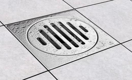 Sanitary Fitting Stainless Steel Floor Drain