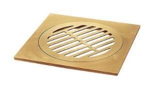 Fd Brass Floor Drain in Nature Colour