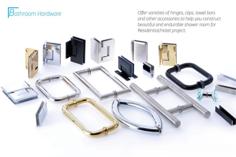 Aluminium Glass Door Hinges for Bathroom (SH-S54)