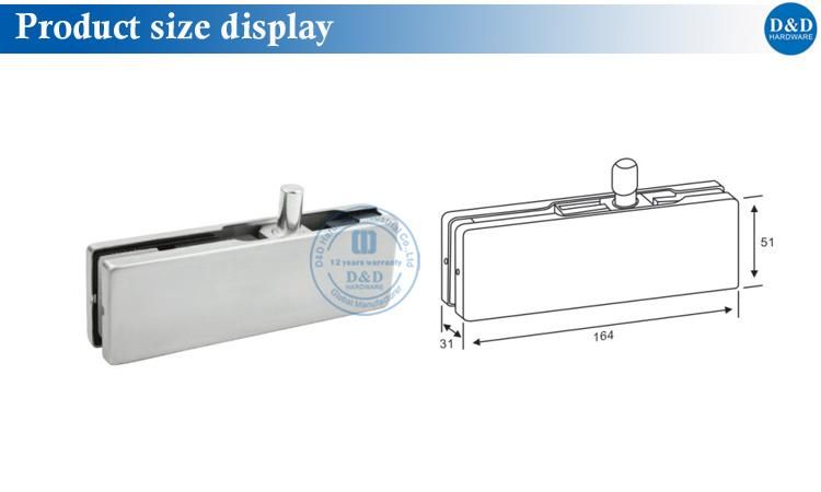 Stainless Steel Patch Fitting for Glass Door