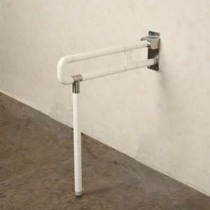 Floor and Wall Mounted Bathroom Shower Handrail for Elderly