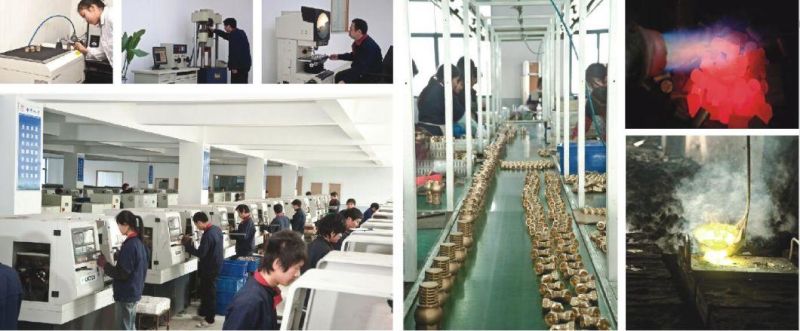 Fd Brass Floor Drain with Nature Color D41005
