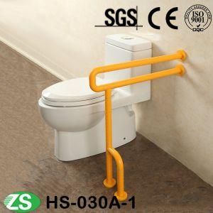 Barrier-Free Stainless Steel Pipe Bathroom Grab Bar