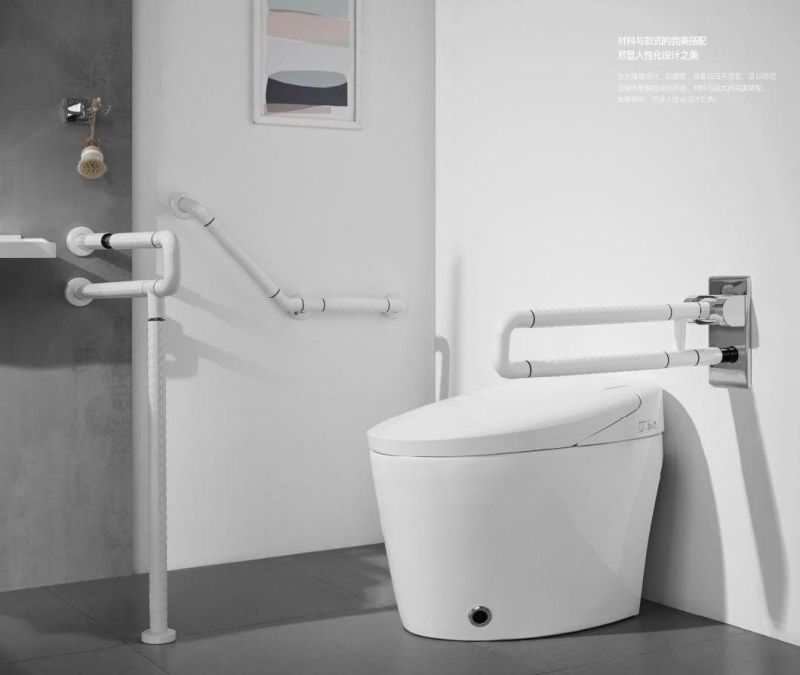 Bathroom Accessories Antibacterial Nylon ABS Stainless Steel Grab Bar Safety Disabled Handrail for Barrier-Free Toilet