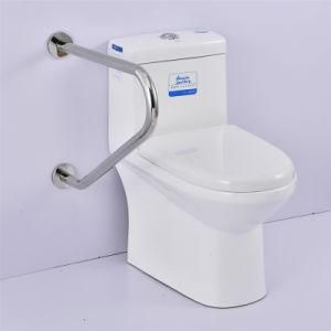 Hot Sale Safety Stainless Steel Disabled Bathroom White Linear ABS Grab Bar Toilet Shower Grab Bar for Elderly Wn-S14
