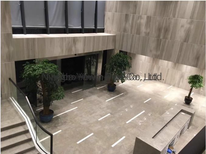 Washroom and Toilet Useful High Quality Floor Drain