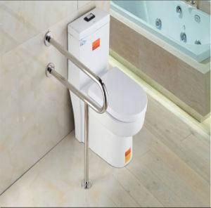 High Quality Stainless Steel Safety Grab Bar, Disabled Only