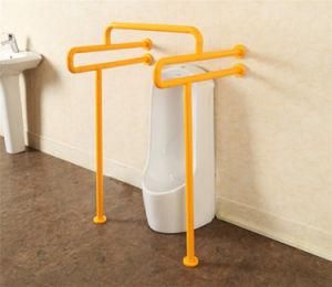 Bathroom Disabled Grab Bars
