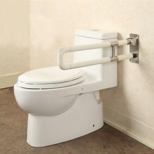 Disabled Wall Mounted Folding up Grab Bar